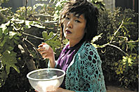 ichijiku